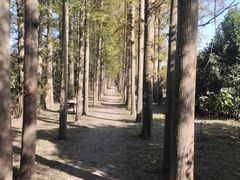 -上海长兴岛郊野公园