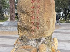 -铁山坪森林公园