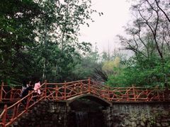 -封龙山风景区