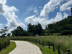 -红花山公园