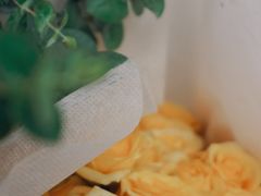 -循礼门鲜花花市(武汉循礼门店)