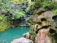 -十八棵（老龙井）御茶园(老龙井店)