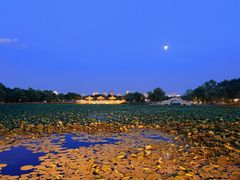 -长春市南湖公园