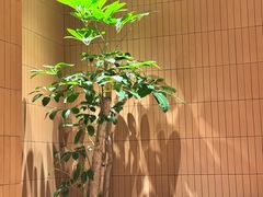 -Bco豆库(苏州中心店)