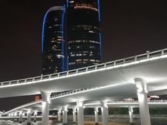 -演武大桥观景平台