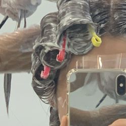 点击看大图 -TITI HAIR STYLE