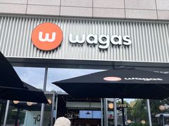 -Wagas沃歌斯(汇智店)