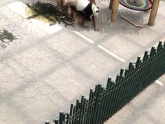 -沈阳森林动物园