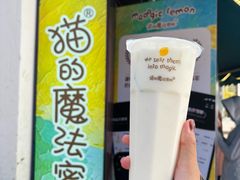 -猫的魔法密林(衣裳街店)