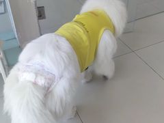-怪兽屋·羊驼·猫咖·狗咖(俊华广场店)