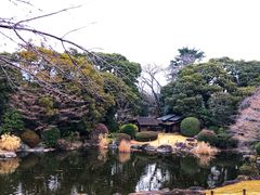 -东京国立博物馆