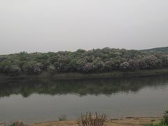 -丁香湖公园