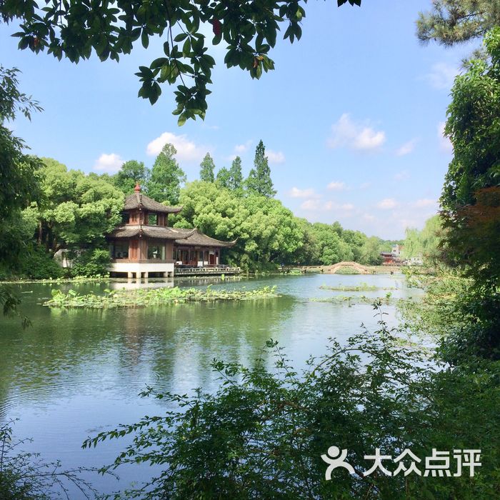 曲院风荷江南名石茶苑