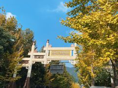 -杭州半山国家森林公园