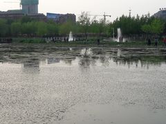-前关湿地公园