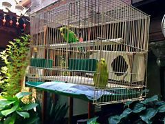 -束河人家(南锣鼓巷店)