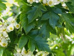 -天津盘山风景名胜区