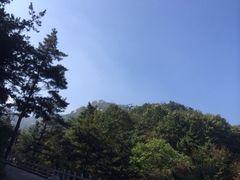 iphone_upload_pic-沂蒙山旅游区云蒙景区(蒙山国家森林公园)