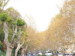 -浙江大学(玉泉校区)