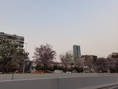 -洲头咀公园