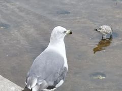-星海广场
