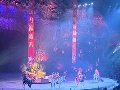 -广州长隆国际大马戏