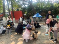 -荆州中山公园动物园