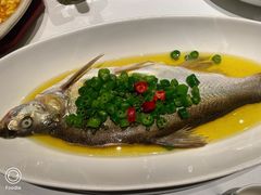 青花椒蒸白水鱼-荣兴酒家(徐家汇店)