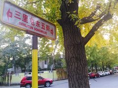 -三里屯东五街银杏大道