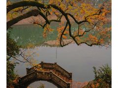-溪口-滕头旅游景区