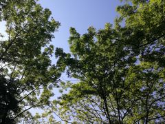 -十里画廊