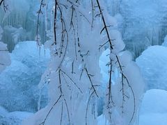 -青峰峡国家森林公园