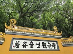 -普陀山风景名胜区-法雨禅寺