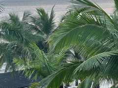 -日落吧·海景咖啡厅·餐酒吧·鸡尾酒·下午茶·乐队表演·浪漫夕阳·三亚文华东方酒店