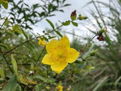 -桤木河湿地公园