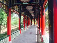 -兰山公园