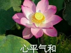 -时光码头民谣公社