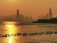 -深圳湾公园(南山区)