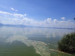 -捞渔河湿地公园