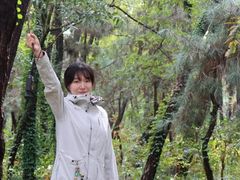 -日照海滨国家森林公园