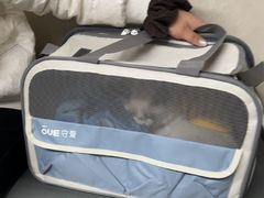 -半岛宠物医院24小时(白果林店)
