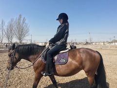 -北京群众马术培训基地