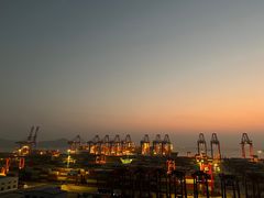 -上海海湾国家森林公园