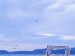 -海驴岛(荣成市)