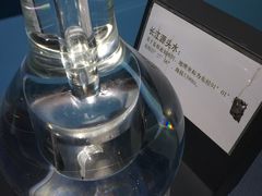 -青藏高原自然博物馆