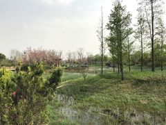 -尚贤河湿地