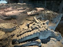 -自贡恐龙博物馆