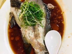 -老字号蛇口德记烧腊饭店·海鲜加工