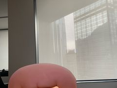 -尼依格罗香港美利酒店