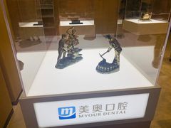 -合肥美奥口腔·种植矫正中心(政务院)